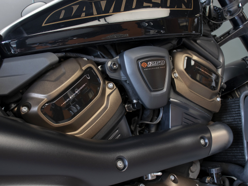 Harley-Davidson Sportster S 1250 фото 12